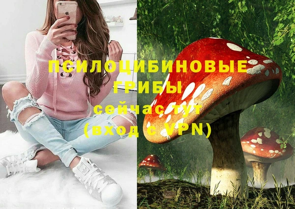 ECSTASY Абинск