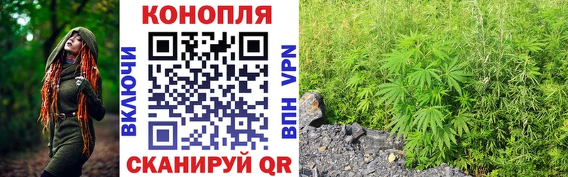 Канабис MAZAR  Питкяранта 
